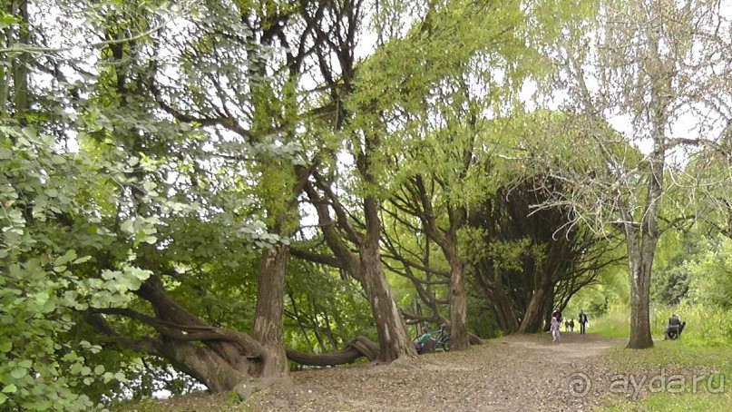 Москва - всё в этом слове! Измайлово, парк и Кремль.