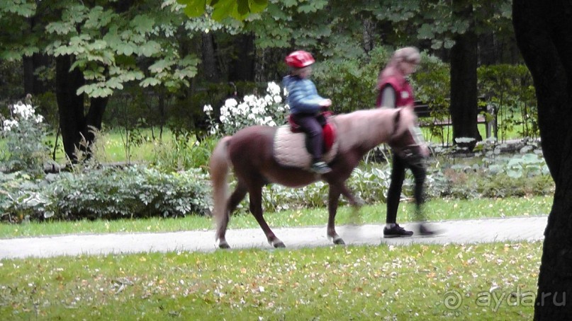 Москва - всё в этом слове! Измайлово, парк и Кремль.