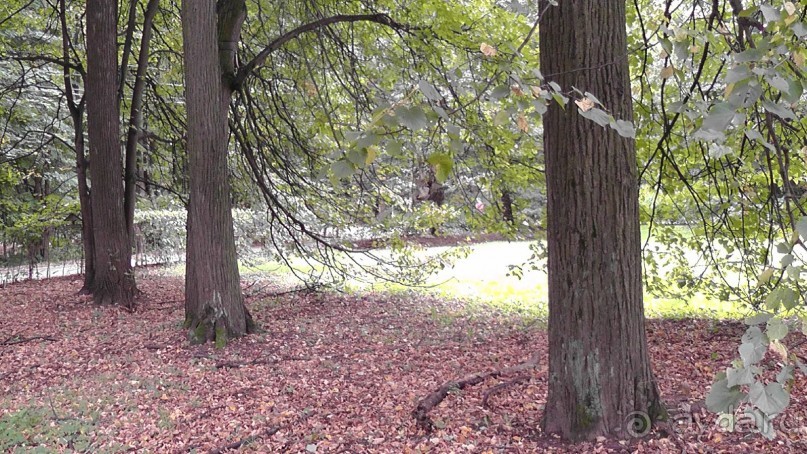 Москва - всё в этом слове! Измайлово, парк и Кремль.