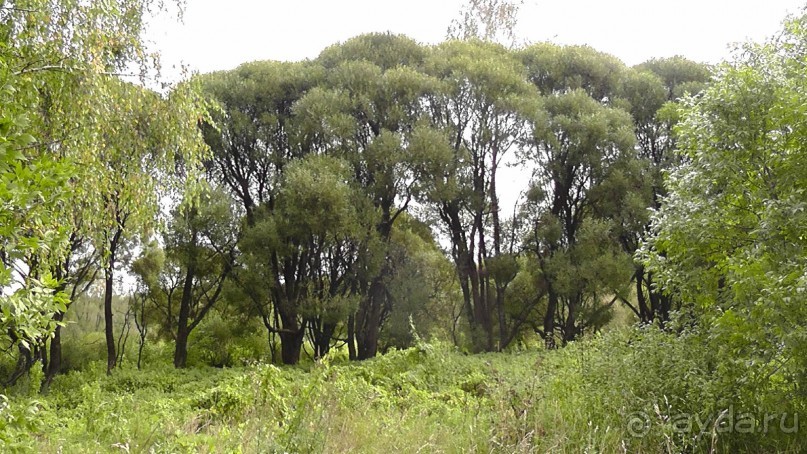 Москва - всё в этом слове! Измайлово, парк и Кремль.