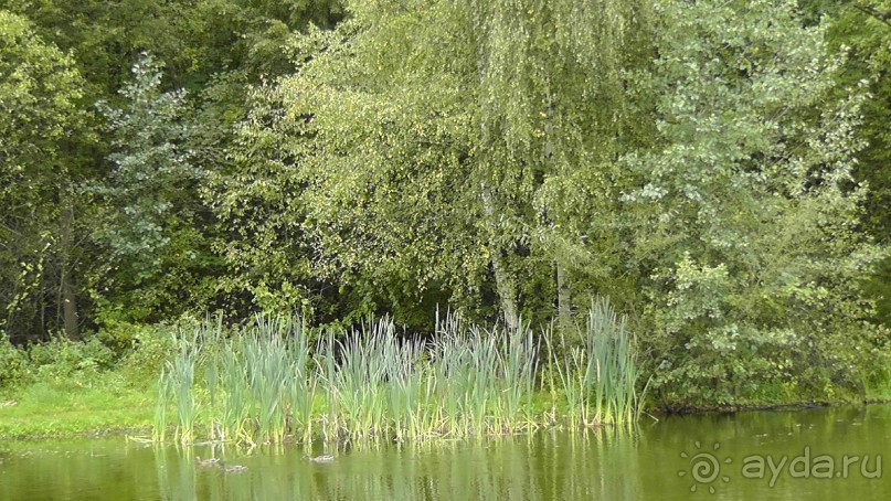 Москва - всё в этом слове! Измайлово, парк и Кремль.