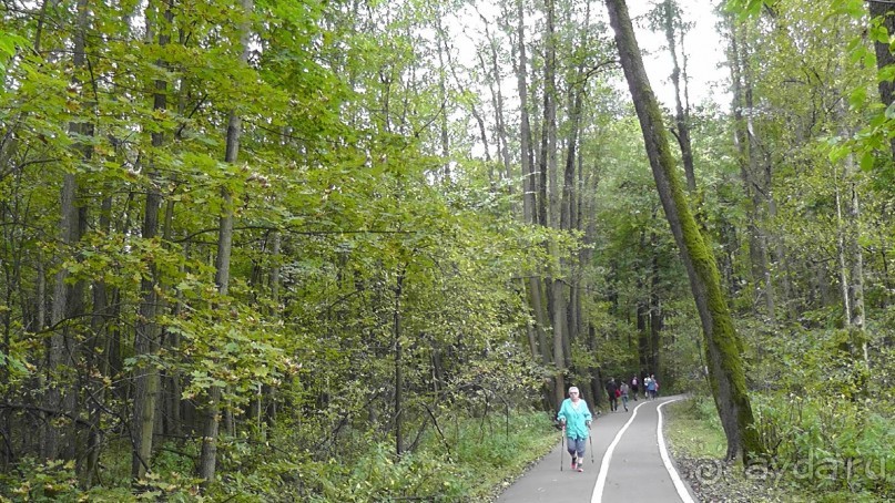 Москва - всё в этом слове! Измайлово, парк и Кремль.