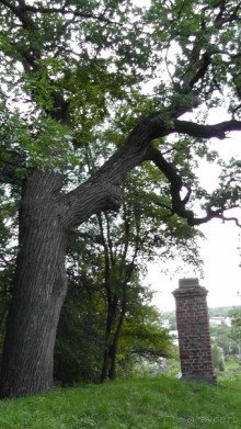 Альбом отзыва "Чернигов - северный оплот Киевской Руси"