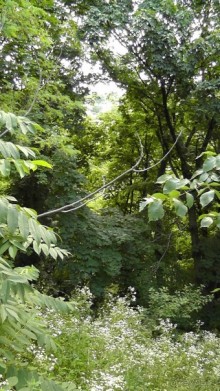 Альбом отзыва "Чернигов - северный оплот Киевской Руси"