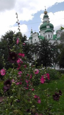 Альбом отзыва "Чернигов - северный оплот Киевской Руси"