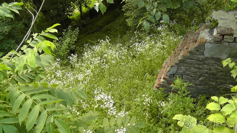 Альбом отзыва "Чернигов - северный оплот Киевской Руси"