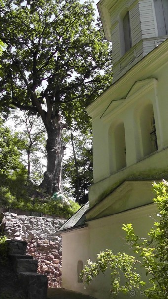 Альбом отзыва "Чернигов - северный оплот Киевской Руси"