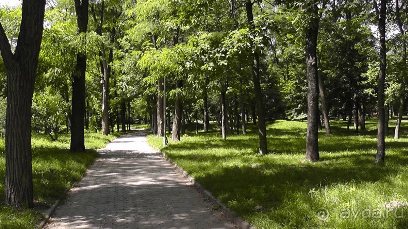 Альбом отзыва "Чернигов - северный оплот Киевской Руси"