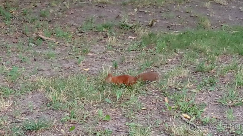 Альбом отзыва "Чернигов - северный оплот Киевской Руси"