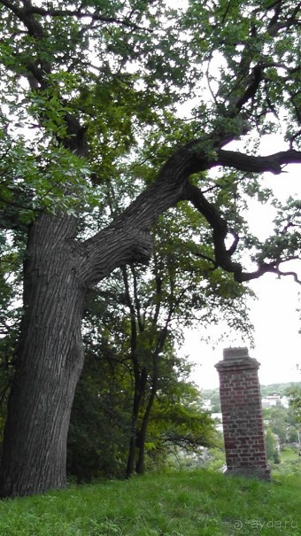 Чернигов - северный оплот Киевской Руси