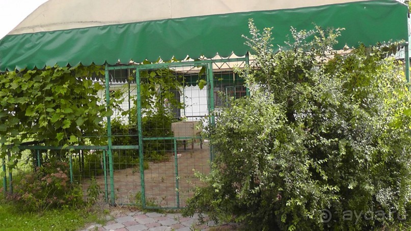 Чернигов - северный оплот Киевской Руси