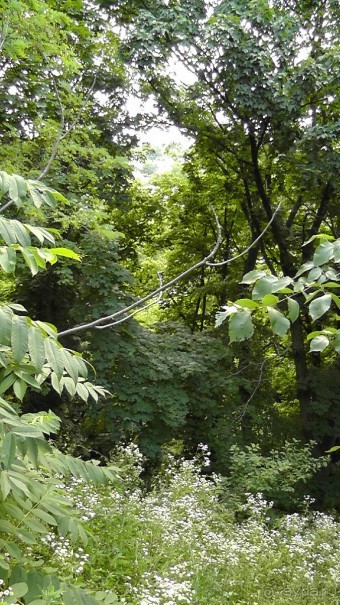 Чернигов - северный оплот Киевской Руси