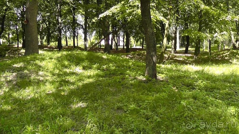 Чернигов - северный оплот Киевской Руси