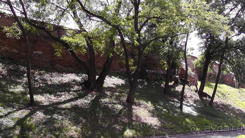 Чернигов - северный оплот Киевской Руси