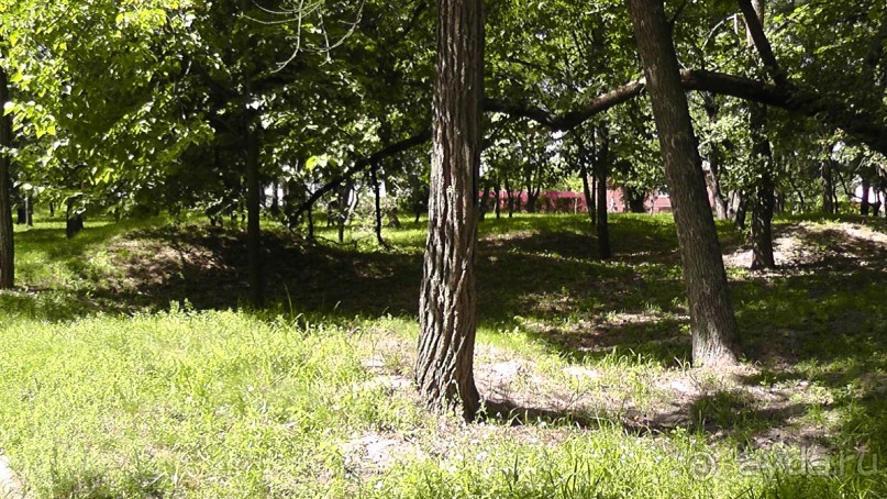 Чернигов - северный оплот Киевской Руси