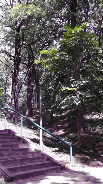 Чернигов - северный оплот Киевской Руси