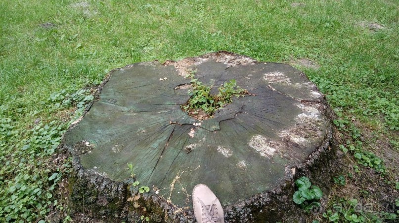 Чернигов - северный оплот Киевской Руси