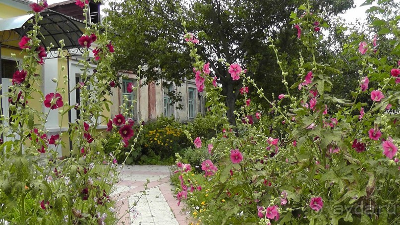 Чернигов - северный оплот Киевской Руси