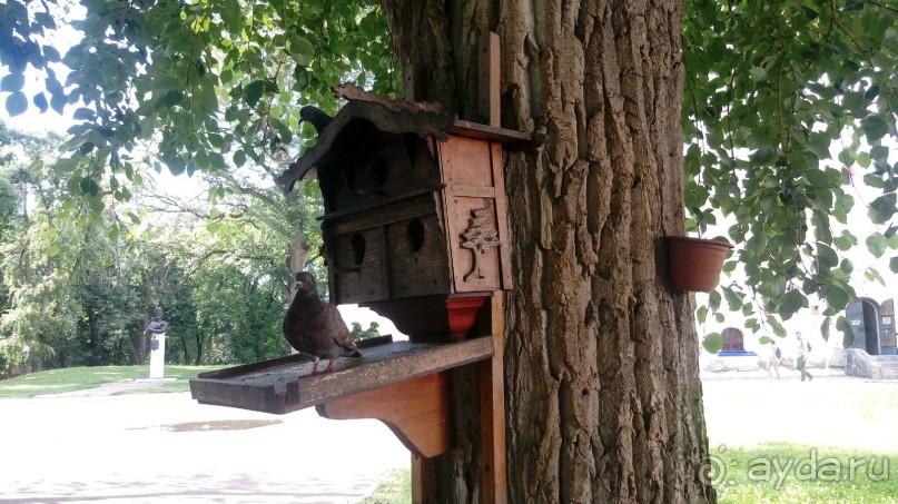 Чернигов - северный оплот Киевской Руси