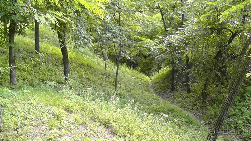 Чернигов - северный оплот Киевской Руси