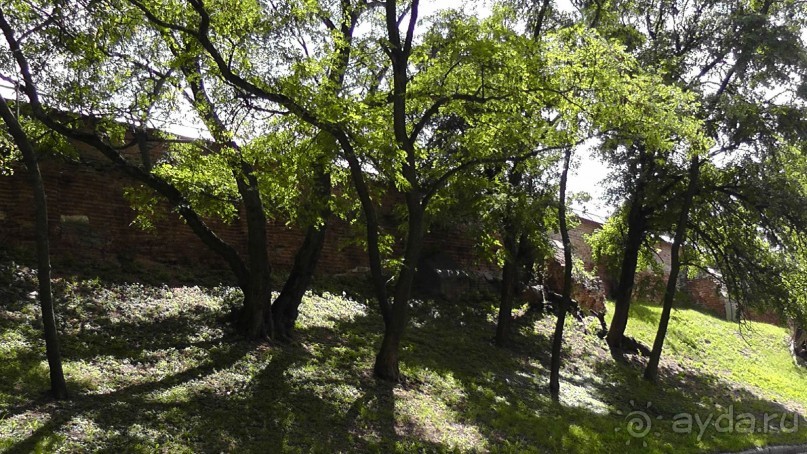 Чернигов - северный оплот Киевской Руси