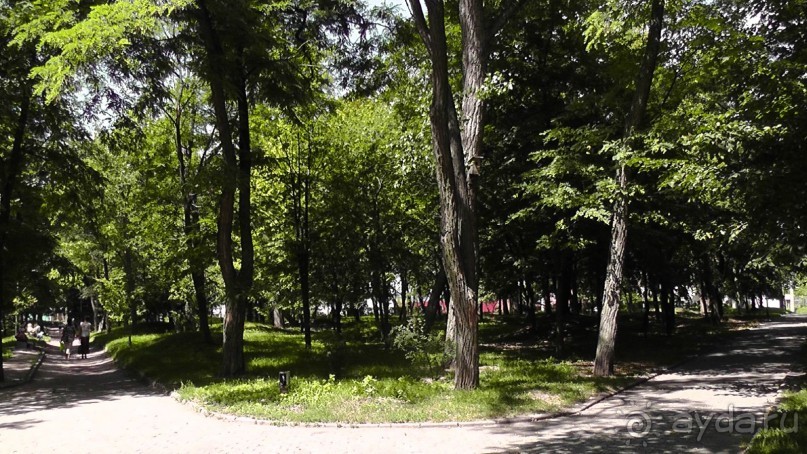 Чернигов - северный оплот Киевской Руси