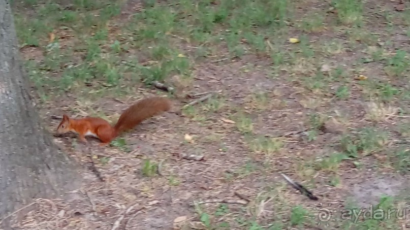 Чернигов - северный оплот Киевской Руси