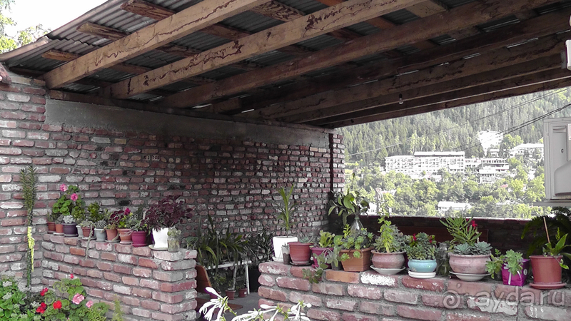 Грузия. Попала в Грузию в карантин и я попала… г.Боржоми - город трудящихся.