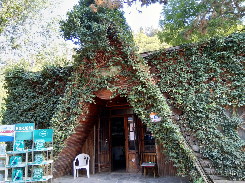 Грузия. Попала в Грузию в карантин и я попала… г.Боржоми - город трудящихся.