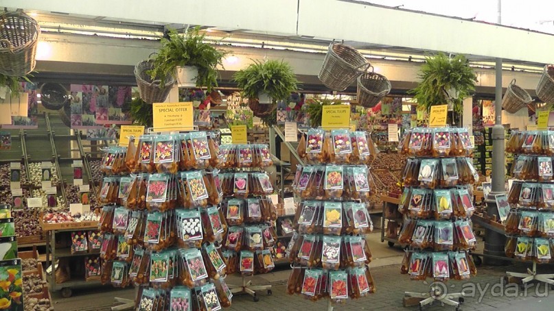 Амстердам, Нидерланды. «Гулять, так гулять!». Утомленные каналами, день I.