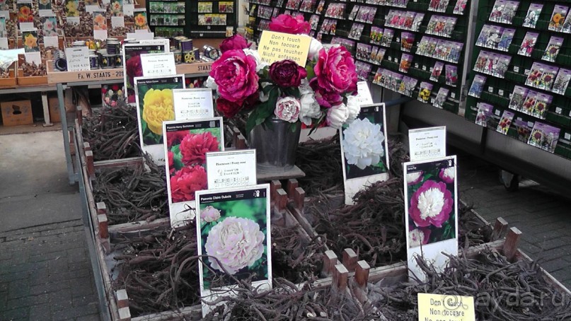 Амстердам, Нидерланды. «Гулять, так гулять!». Утомленные каналами, день I.