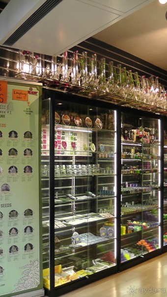 Амстердам, Нидерланды. «Гулять, так гулять!». Утомленные каналами, день I.