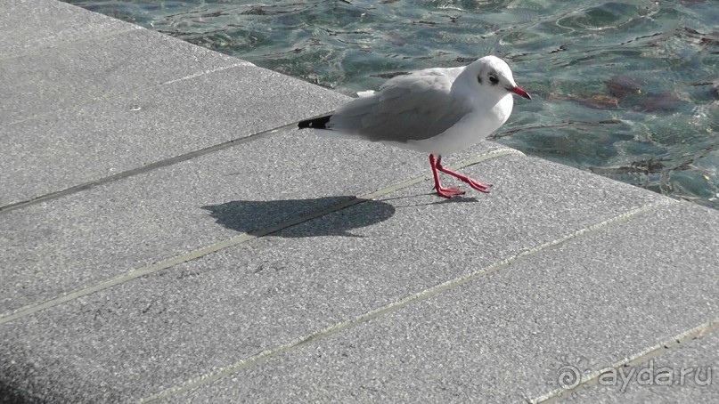 Амстердам, Нидерланды. «Гулять, так гулять!». Утомленные каналами, день I.