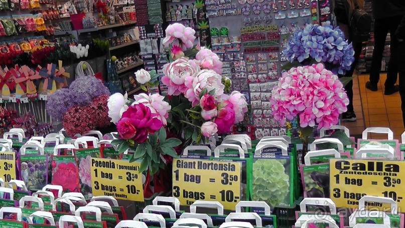 Амстердам, Нидерланды. «Гулять, так гулять!». Утомленные каналами, день I.