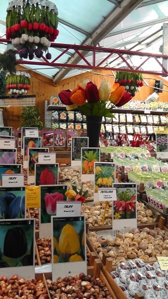 Амстердам, Нидерланды. «Гулять, так гулять!». Утомленные каналами, день I.