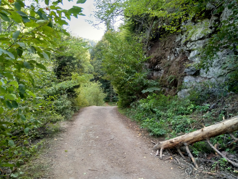 Грузия. Попала в Грузию в карантин и я попала… г.Боржоми, серные бассейны в парке.