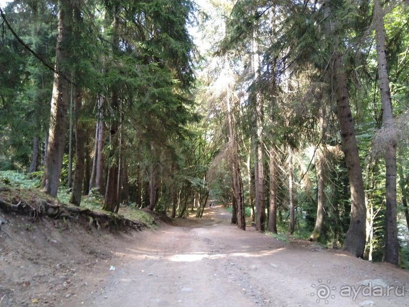 Грузия. Попала в Грузию в карантин и я попала… г.Боржоми, серные бассейны в парке.