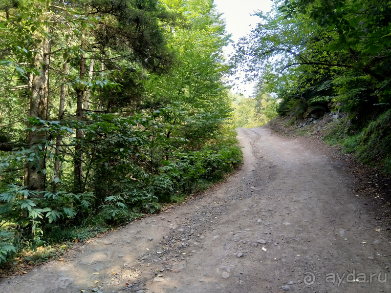 Грузия. Попала в Грузию в карантин и я попала… г.Боржоми, серные бассейны в парке.