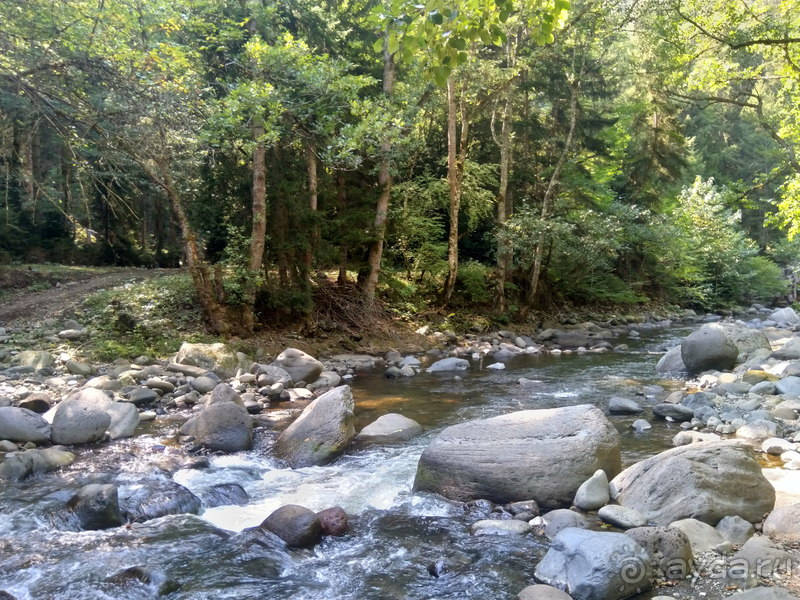 Грузия. Попала в Грузию в карантин и я попала… г.Боржоми, серные бассейны в парке.