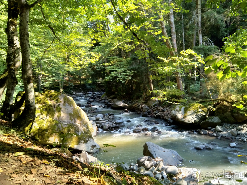 Грузия. Попала в Грузию в карантин и я попала… г.Боржоми, серные бассейны в парке.