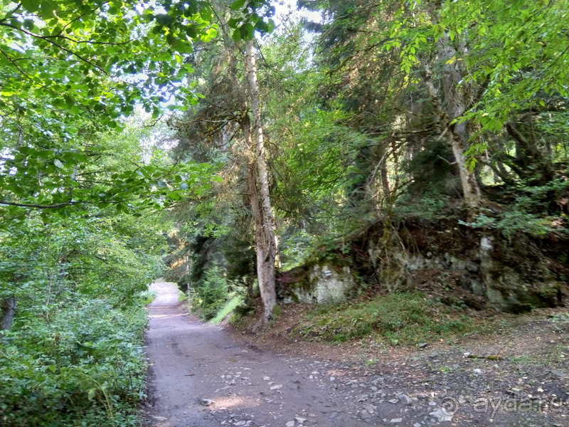 Грузия. Попала в Грузию в карантин и я попала… г.Боржоми, серные бассейны в парке.