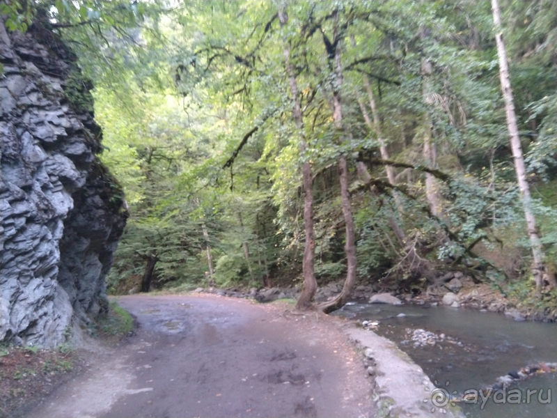 Грузия. Попала в Грузию в карантин и я попала… г.Боржоми, серные бассейны в парке.