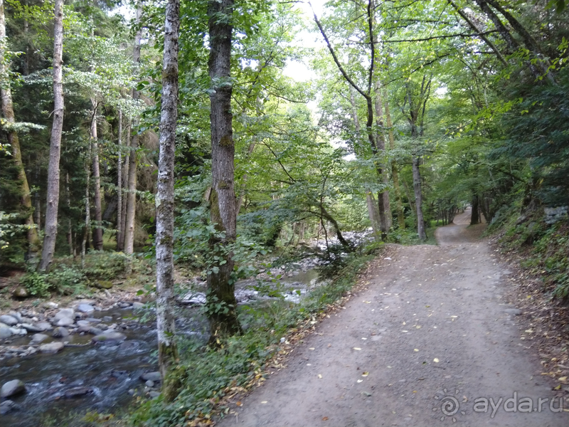 Грузия. Попала в Грузию в карантин и я попала… г.Боржоми, серные бассейны в парке.