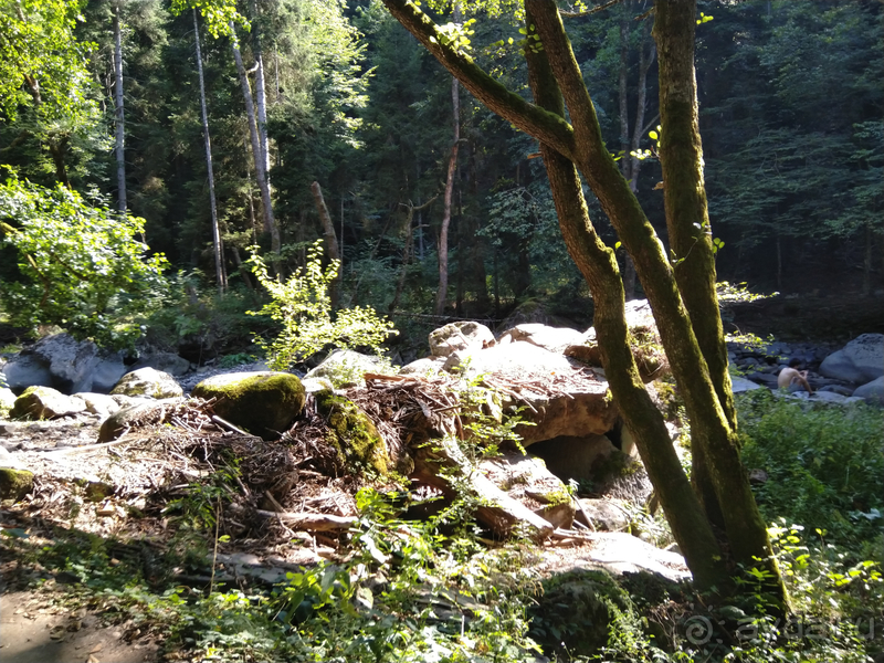 Грузия. Попала в Грузию в карантин и я попала… г.Боржоми, серные бассейны в парке.