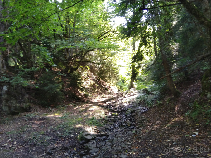 Грузия. Попала в Грузию в карантин и я попала… г.Боржоми, серные бассейны в парке.