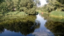 Альбом отзыва "Замок Радомысль – современная достопримечательность Полесья"