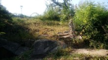 Альбом отзыва "Замок Радомысль – современная достопримечательность Полесья"