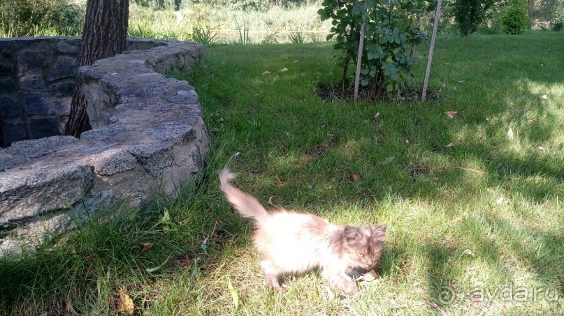 Замок Радомысль – современная достопримечательность Полесья