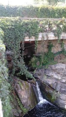 Замок Радомысль – современная достопримечательность Полесья