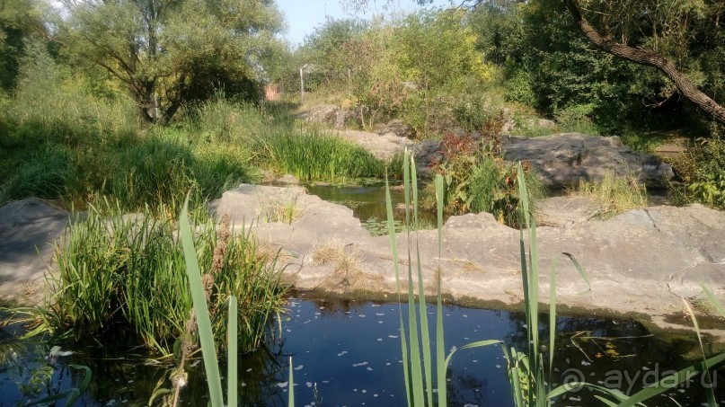 Замок Радомысль – современная достопримечательность Полесья